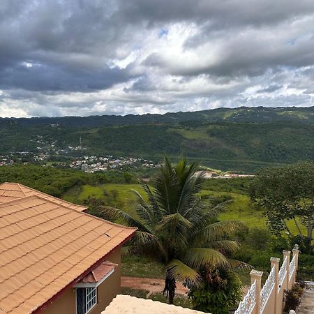 Lion'S View Bed & Breakfast Мандевил Екстериор снимка