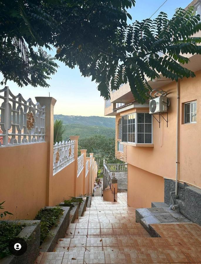 Lion'S View Bed & Breakfast Мандевил Екстериор снимка