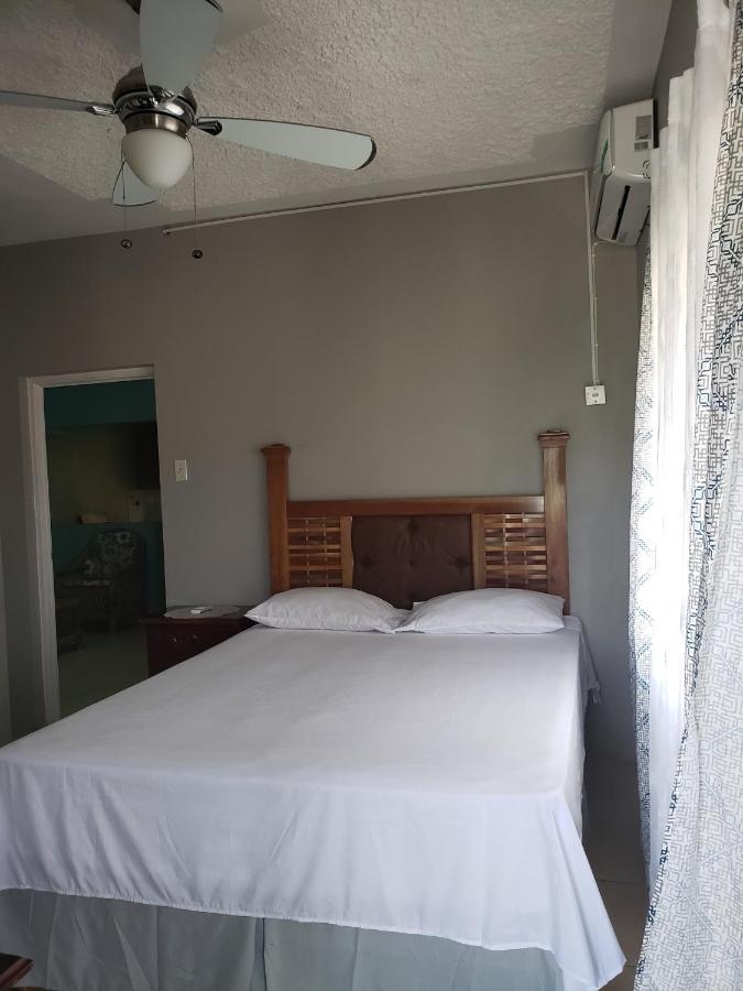 Lion'S View Bed & Breakfast Мандевил Екстериор снимка