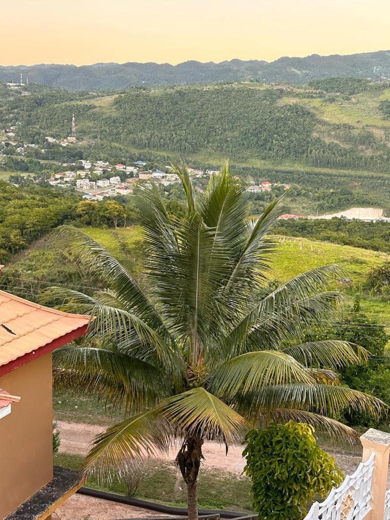 Lion'S View Bed & Breakfast Мандевил Екстериор снимка